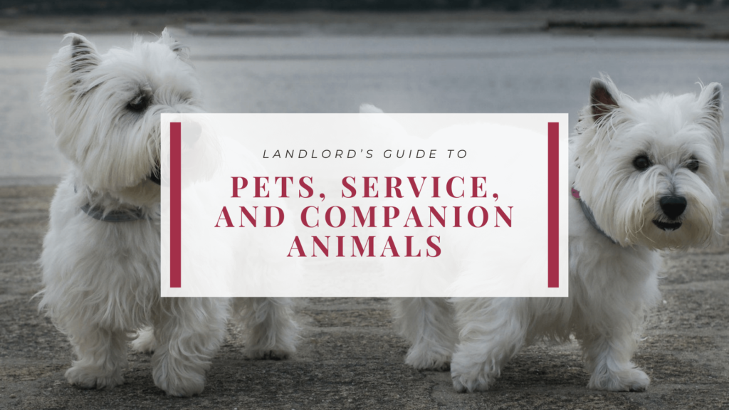 Kansas City Landlord’s Guide to Pets - article banner